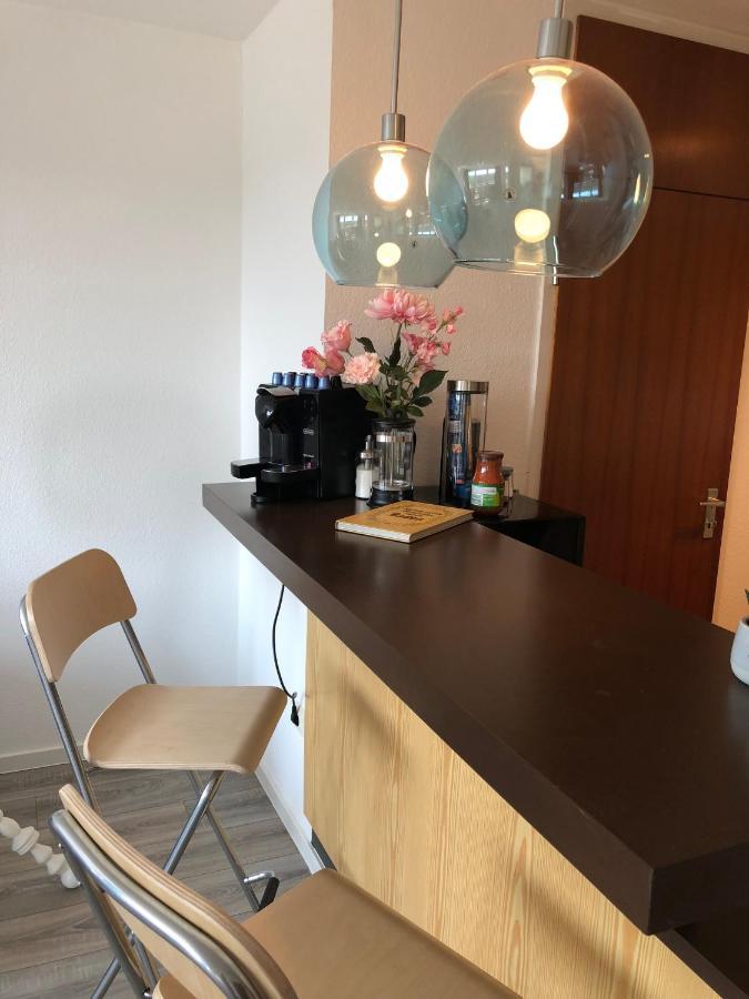 Grosses Appartement Mit Aussichtsbalkon Ludwigsburg Exteriér fotografie